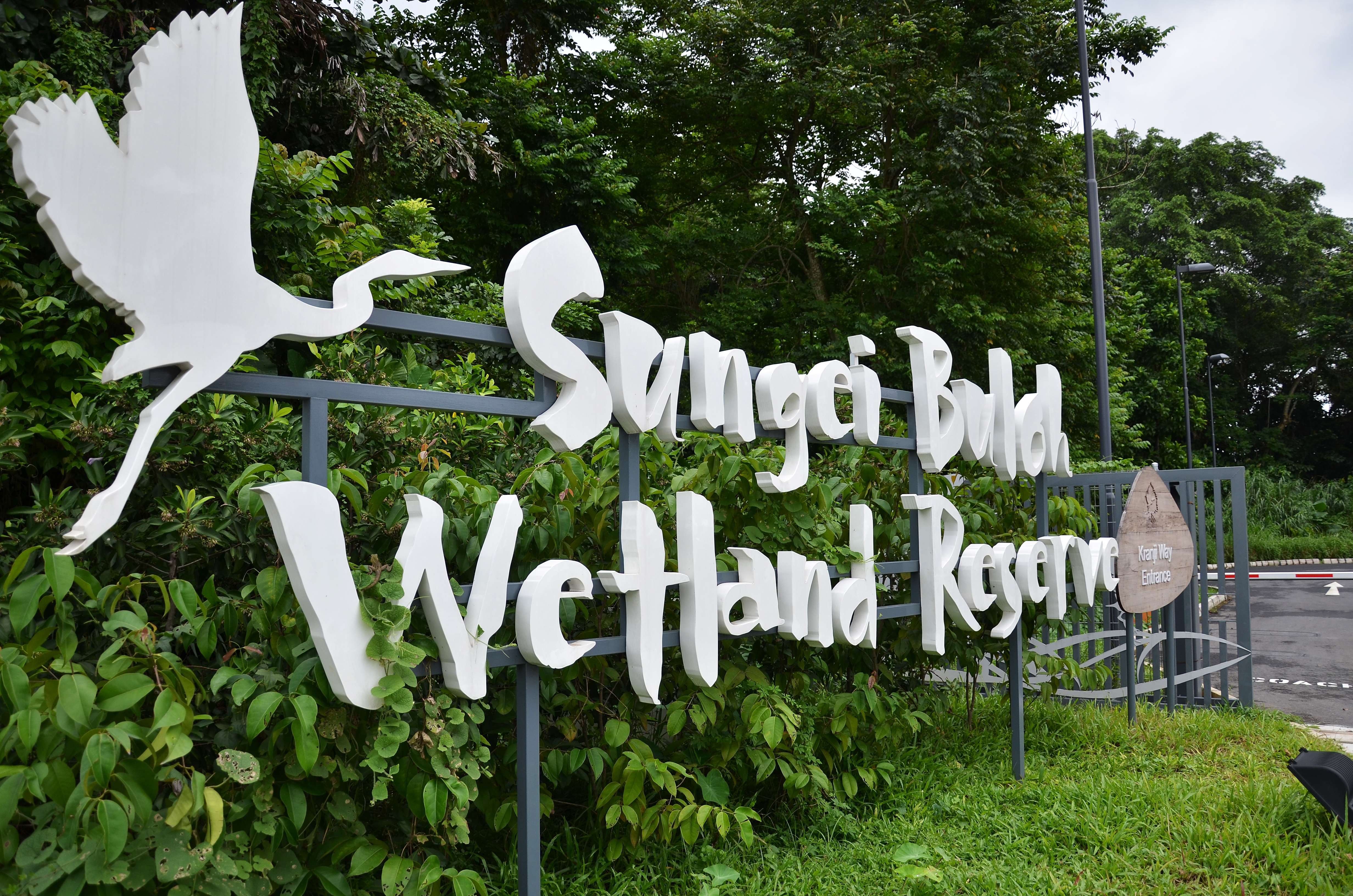 Sungei Buloh Wetland Reserve 