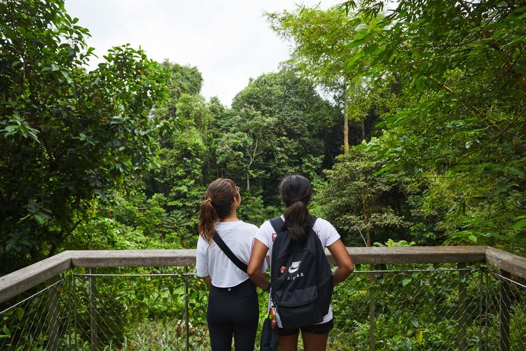 Dairy Farm Nature Park