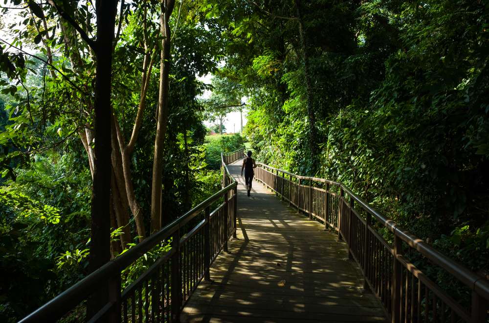 Mount Faber Park