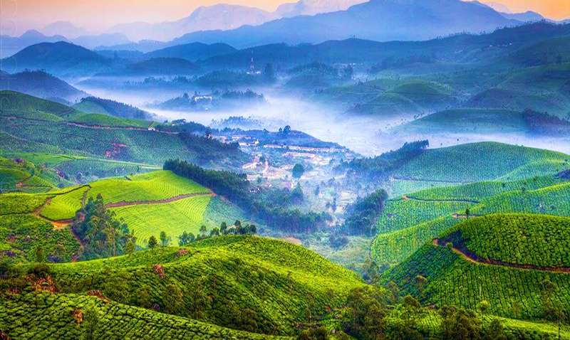 Devikulam (479 Km from Bangalore)