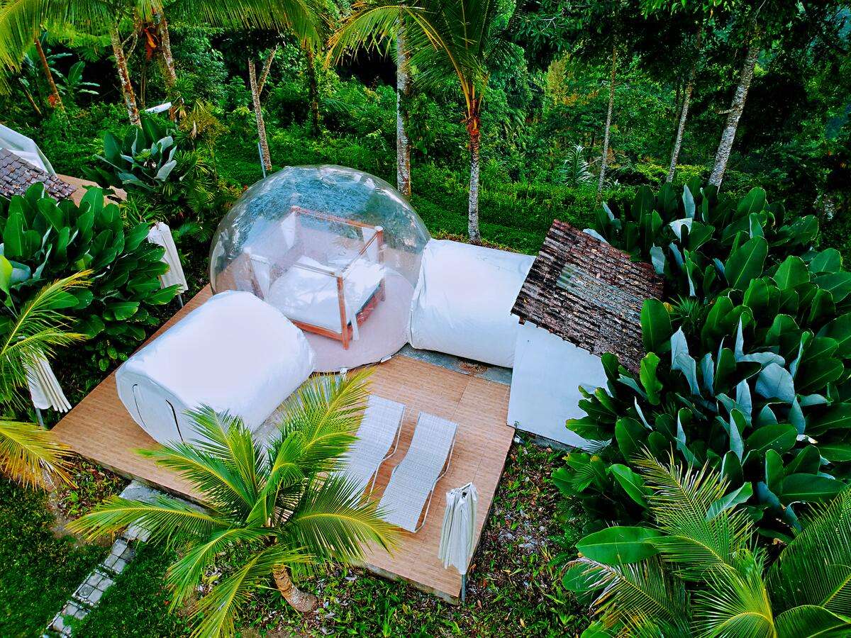 Jungle Bubble Lodge