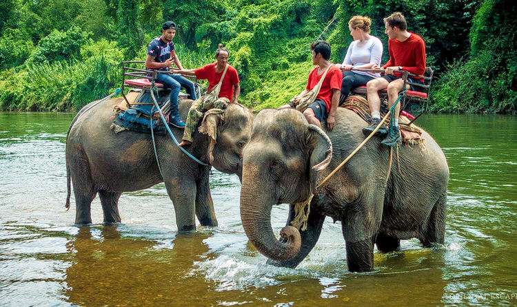 Krabi Elephant Sanctuary