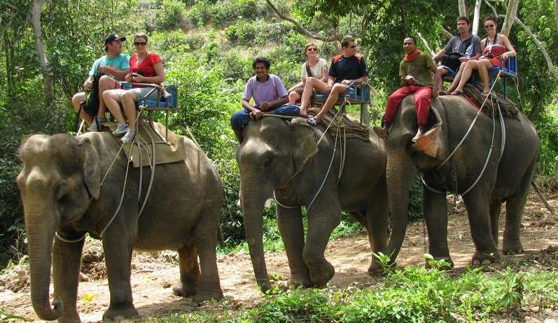 Krabi Elephant House Sanctuary
