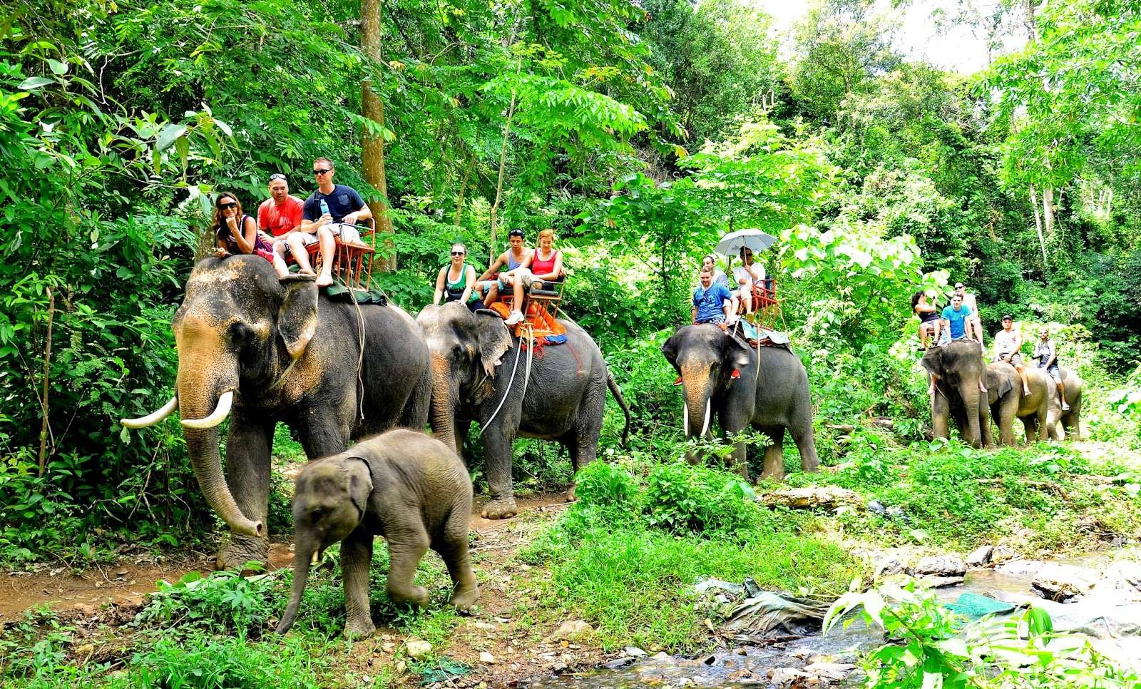 Ao Nam Mao Elephant Trekking
