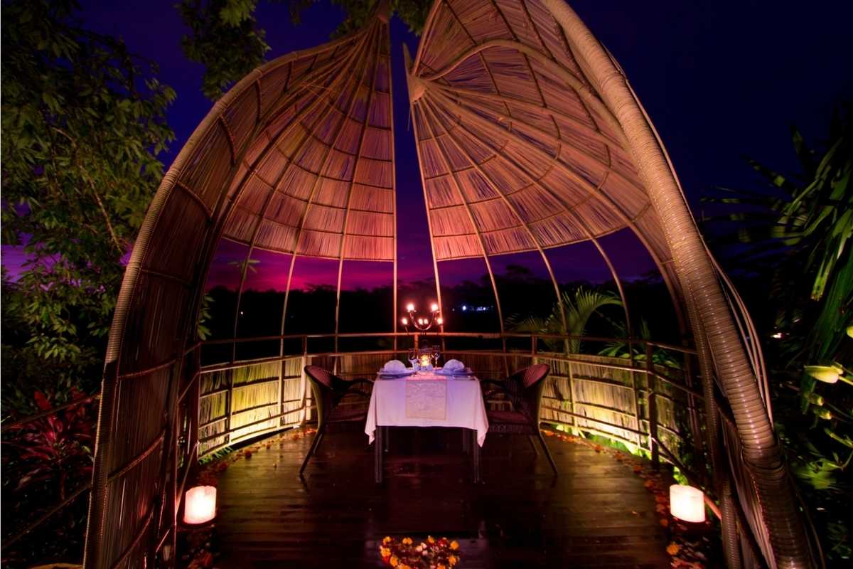Bird Nest Romantic Dinner Ubud