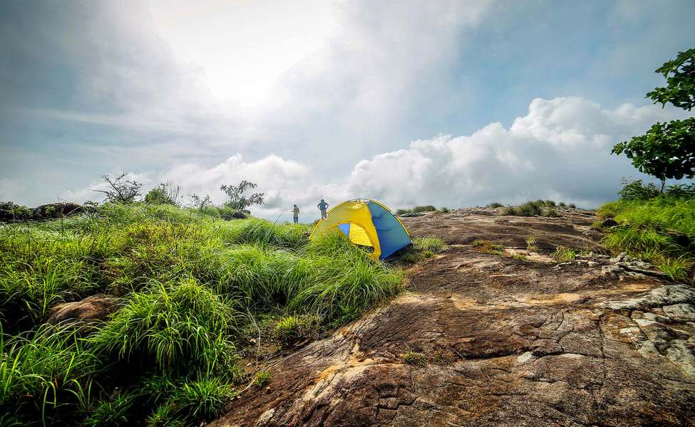 Camping in Wayanad