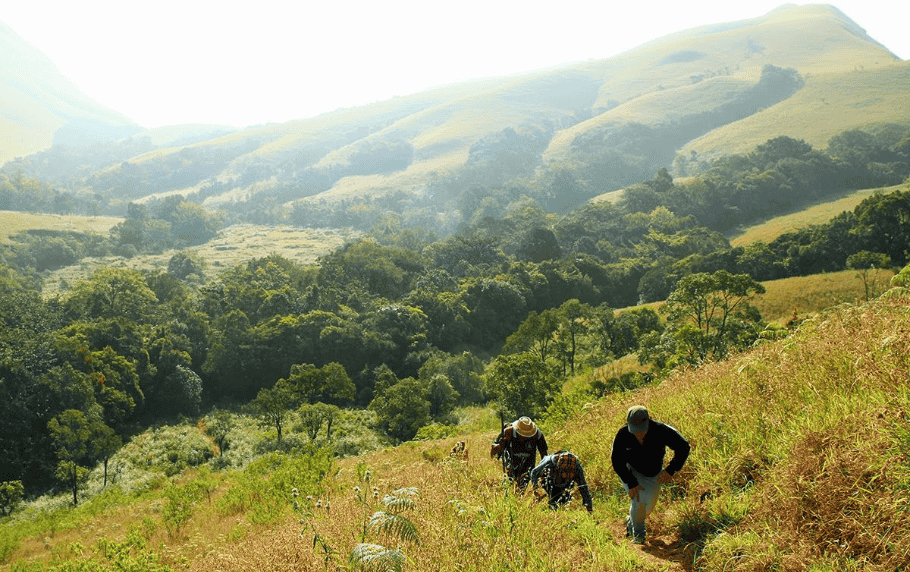 Kudremukh National Park