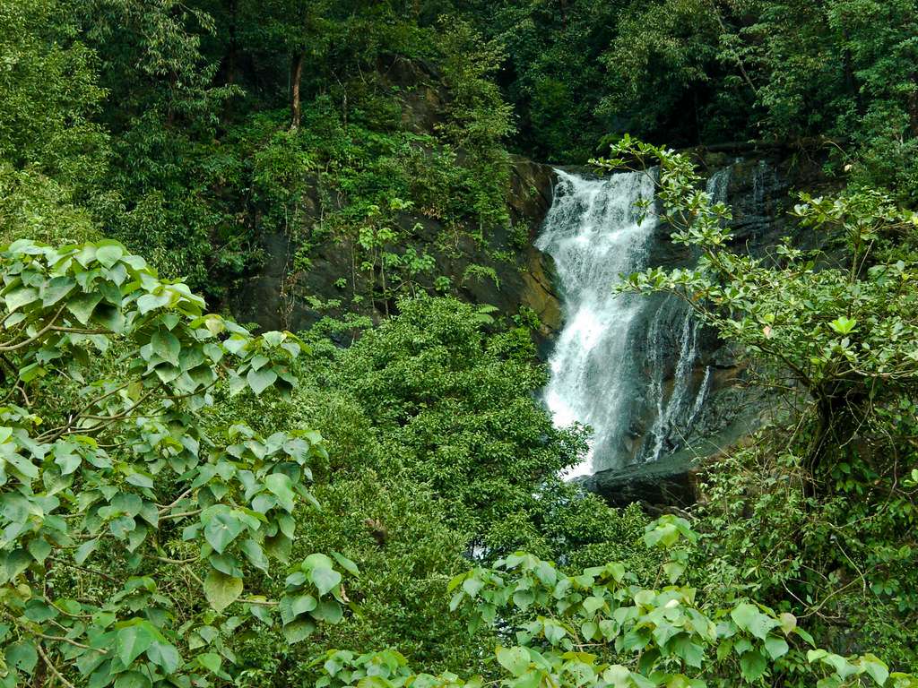 Kadambi Falls