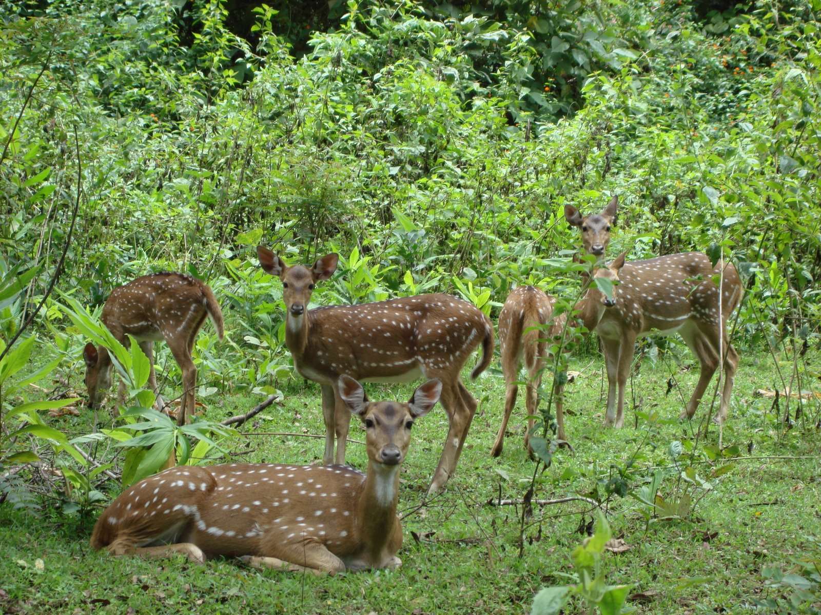 BRT Wildlife Sanctuary