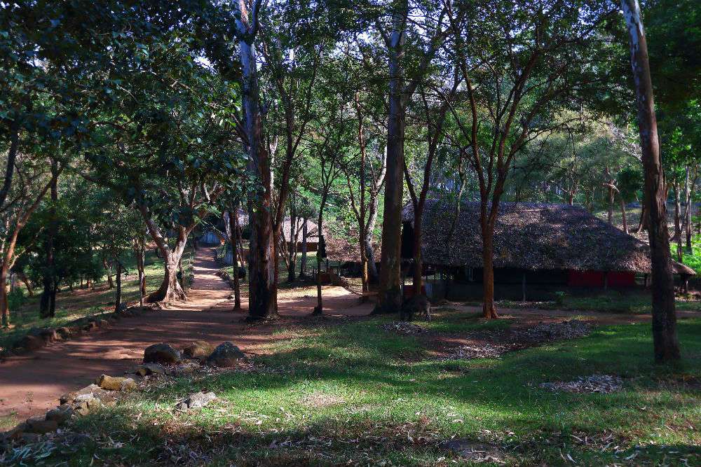  K.Gudi Wilderness Camp