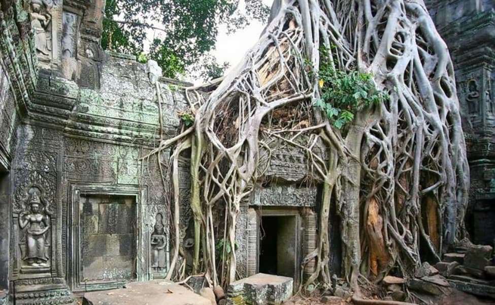 Explore the Tribal Museum