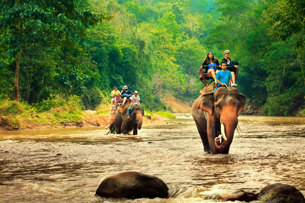 Chiang Mai Zoo Water Park