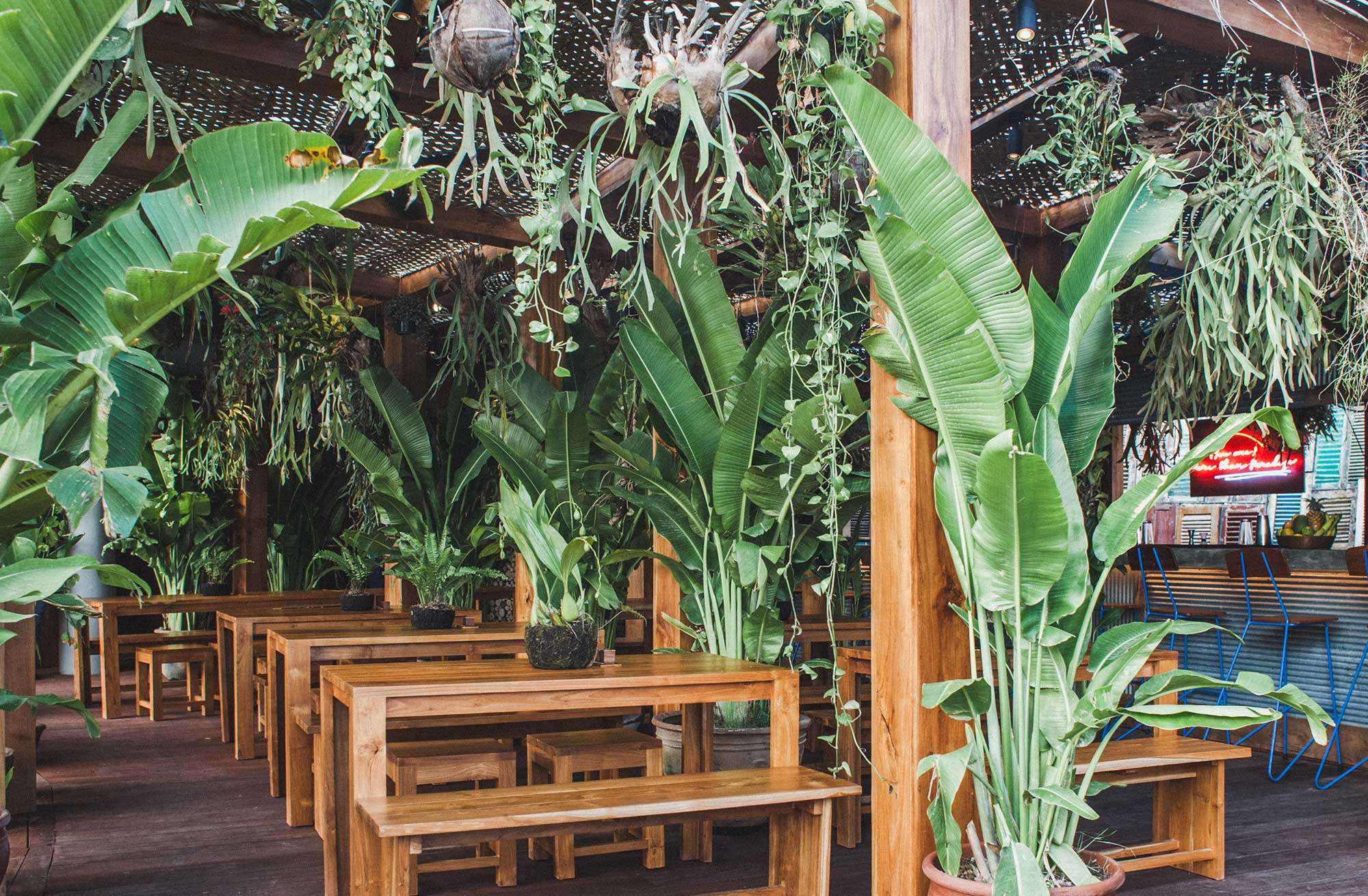 Potato Head Beach Club