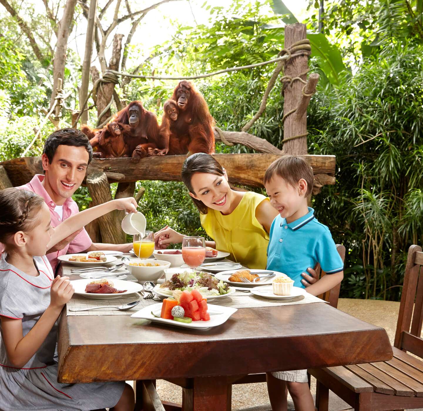 Breakfast with Orangutans