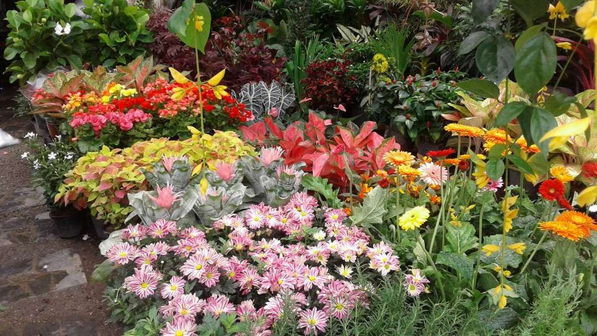 Kamthieng Flower Market