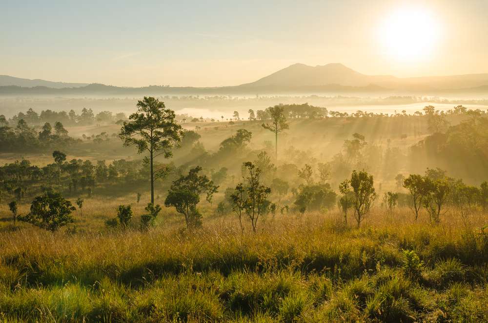 Ob Luang National Park
