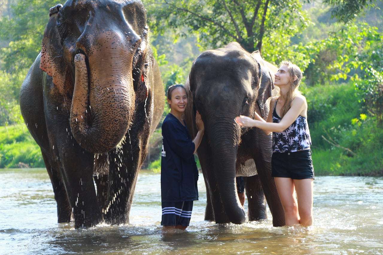 Elephant Jungle Sanctuary 