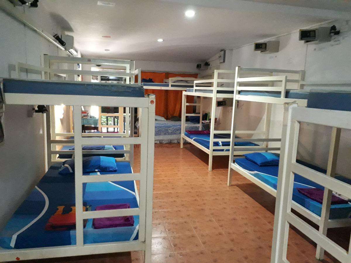 Hangover Hostel