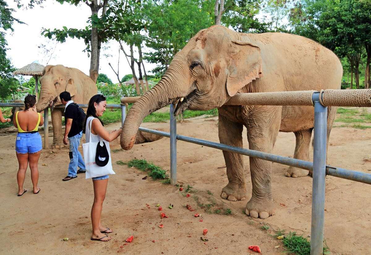 Hug Elephant Sanctuary