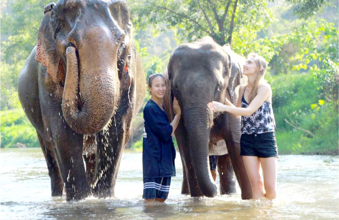 Chiang Mai Elephant Sanctuary and Trekking