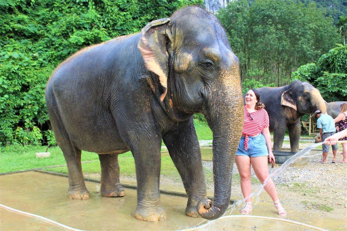  Kanta Elephant Sanctuary