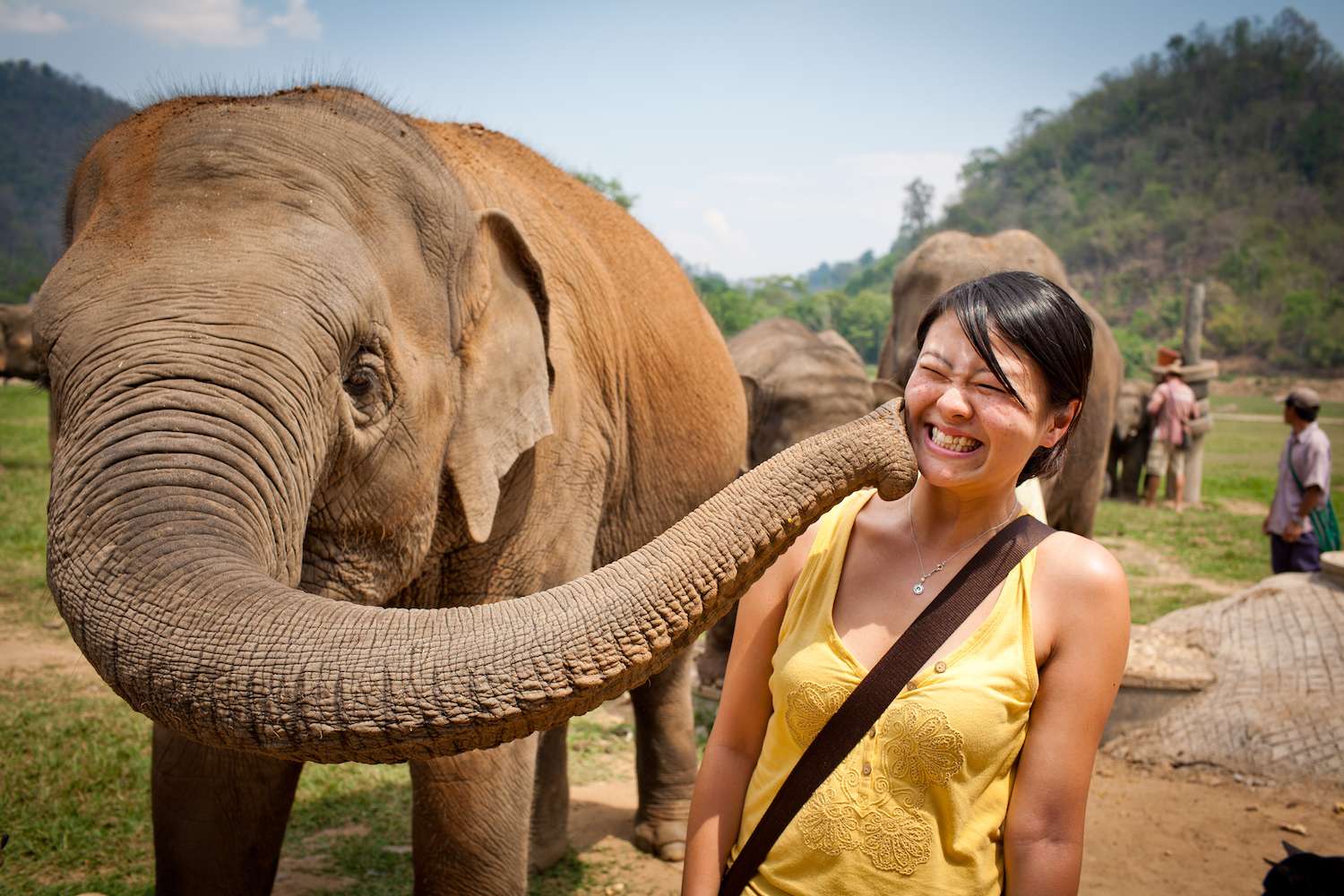 Maerim Elephant Sanctuary