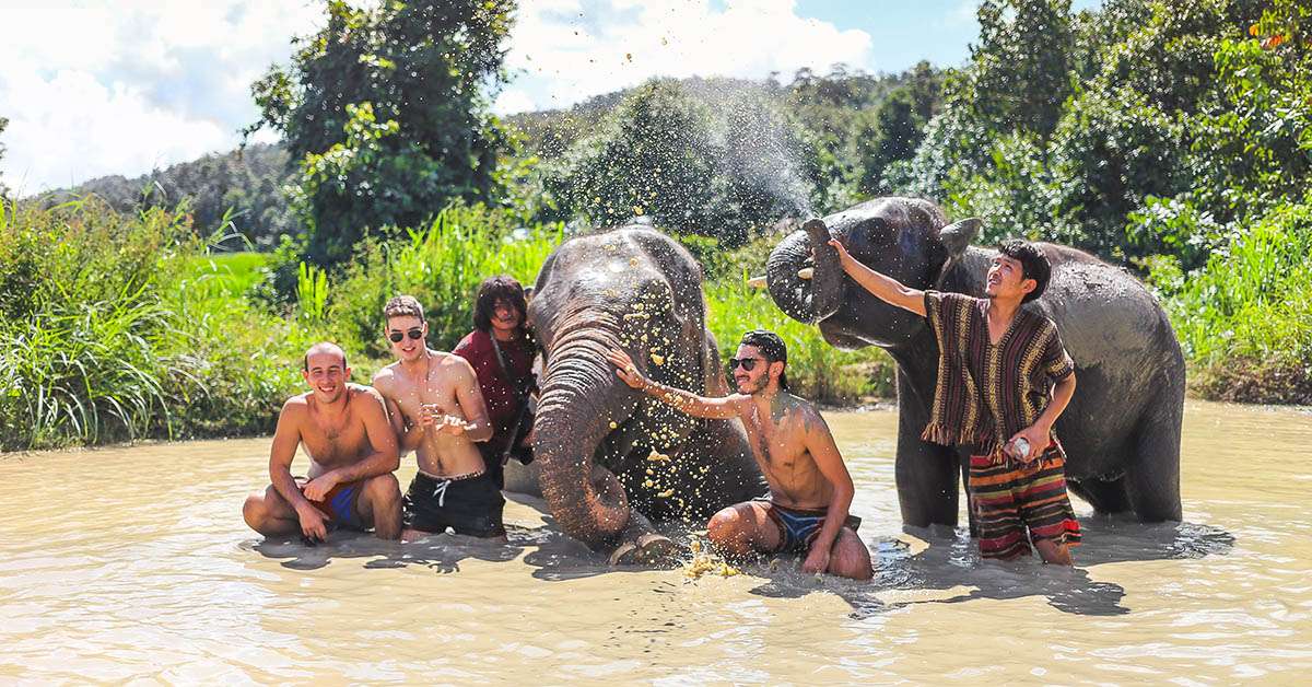 Patara Elephant Camp