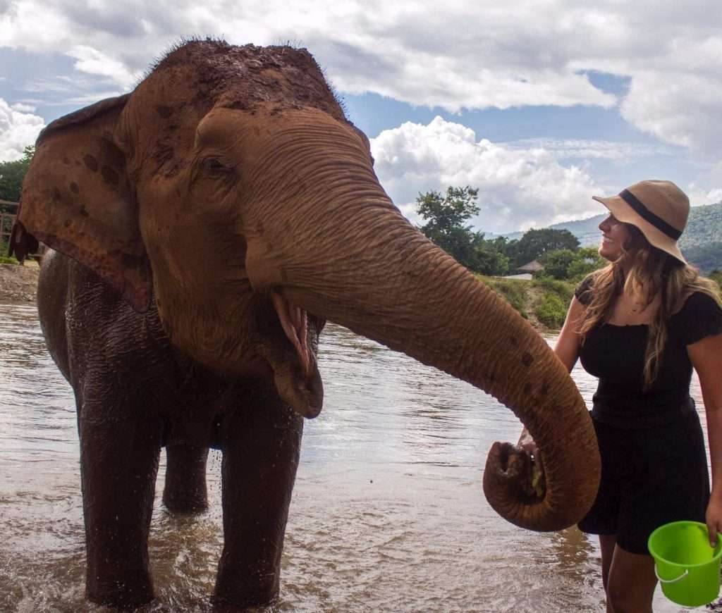 Elephant Nature Park