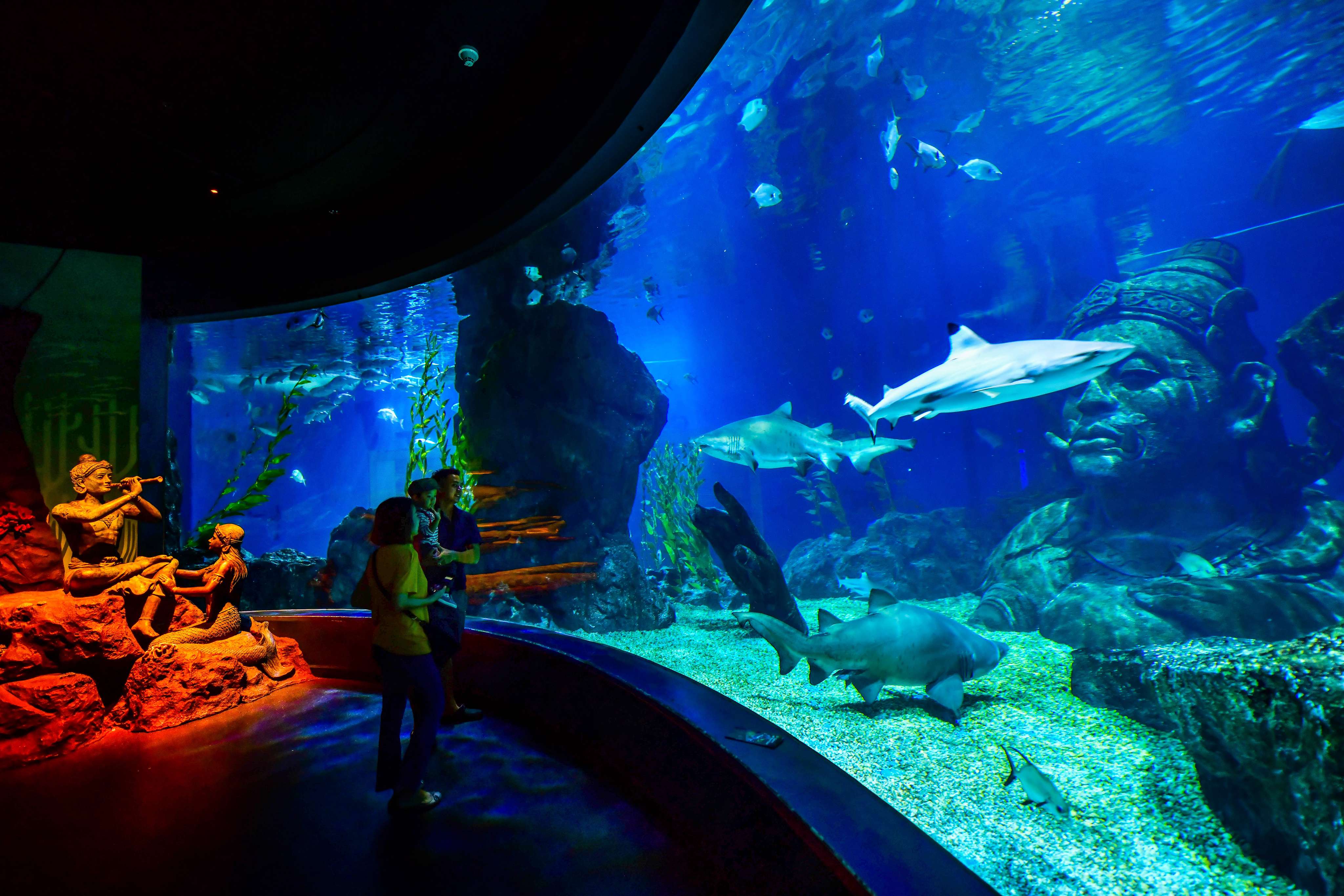 SEA LIFE Bangkok Ocean World