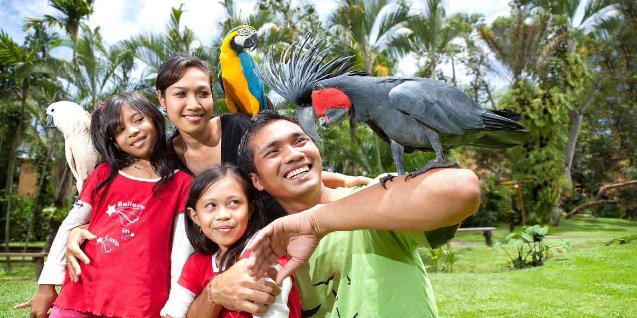 Visit Bali Bird Park