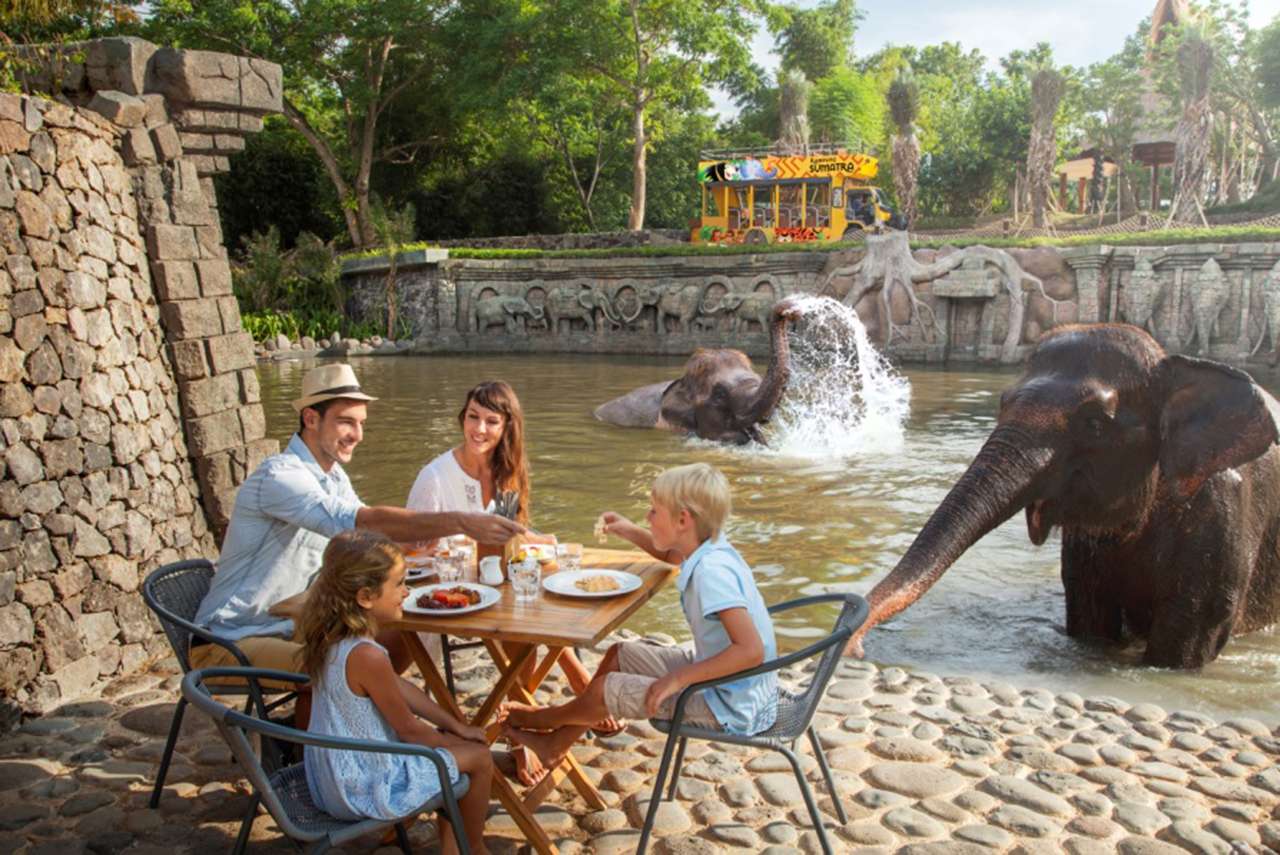 Experience Wildlife at Bali Zoo