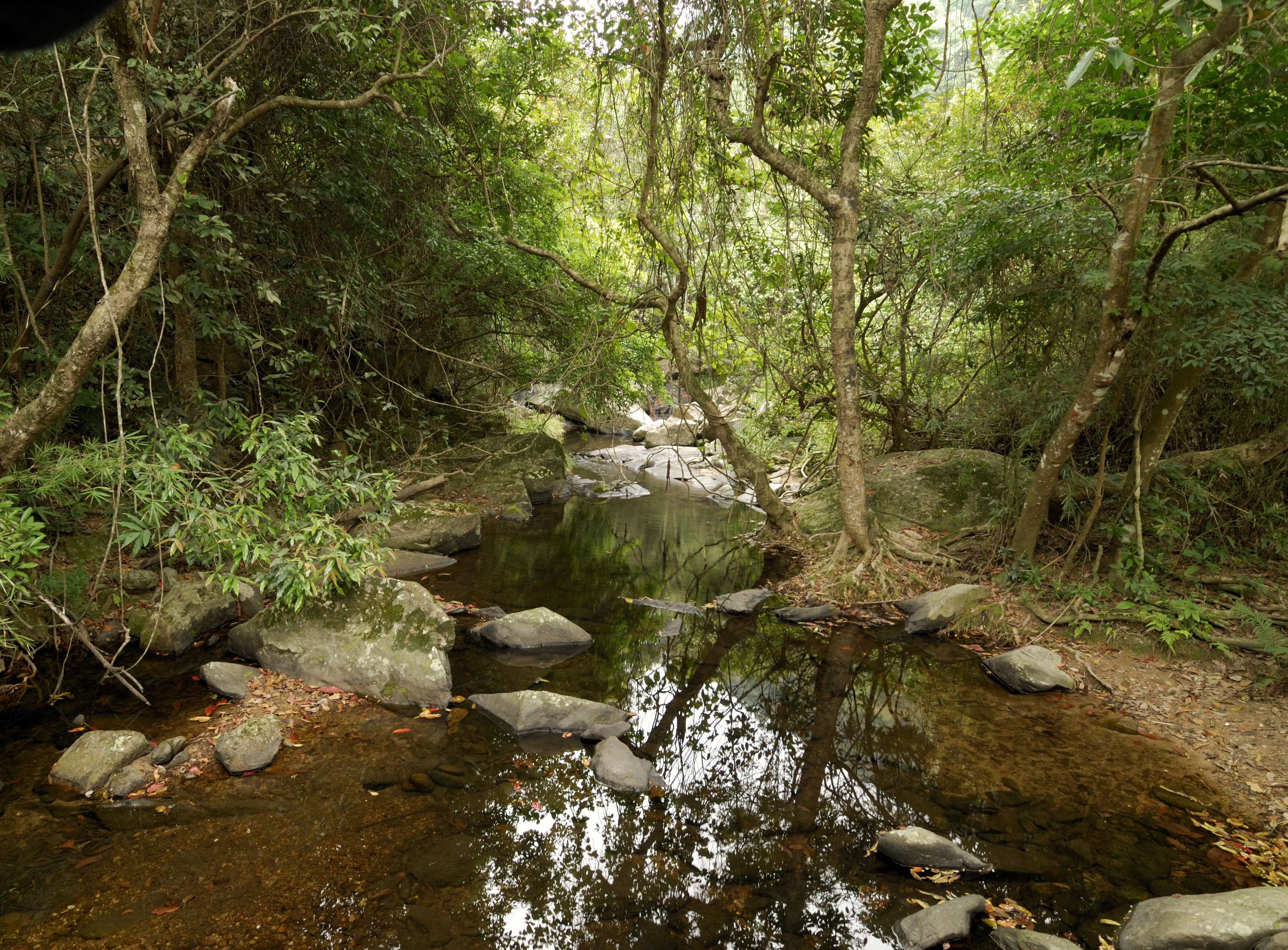 Plover Cove Country Park
