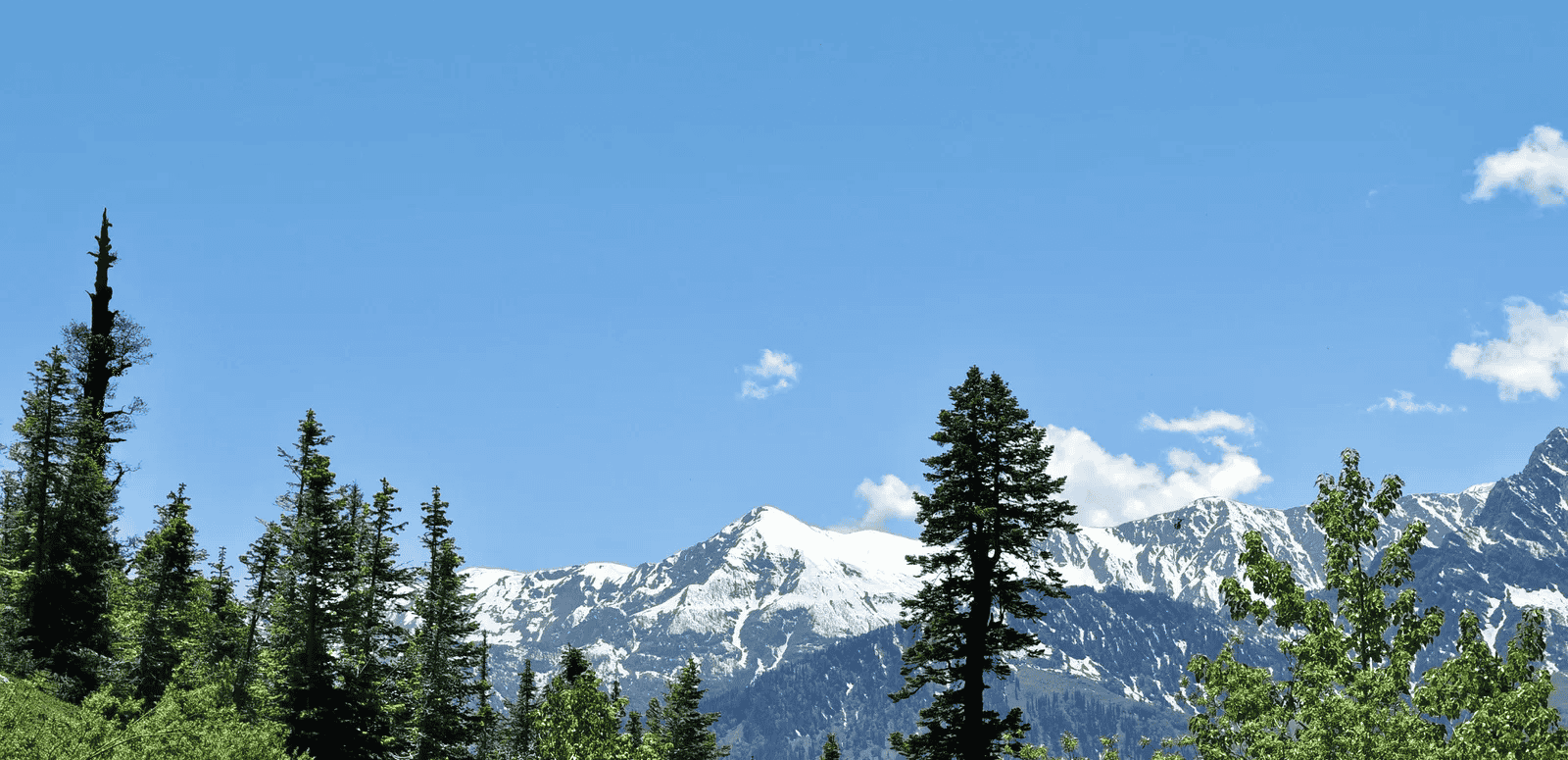 Mussoorie, Uttarakhand (573 km from Jaipur)