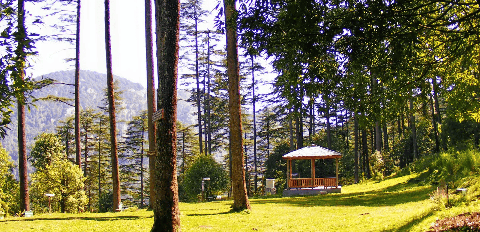 Dhanaulti, Uttarakhand (576 km from Jaipur)
