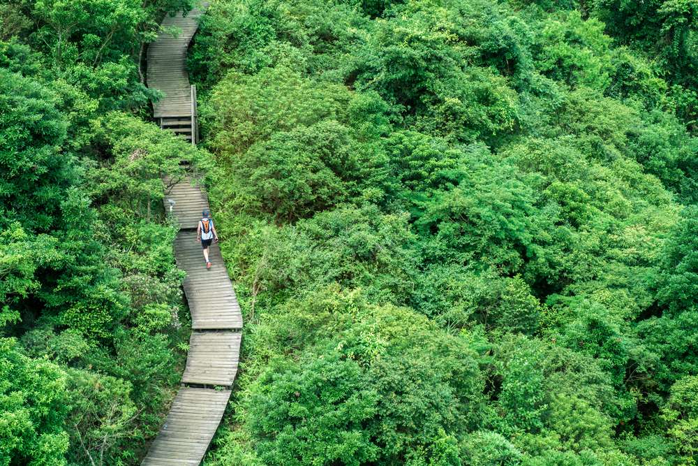 Hike the Lantau Trail