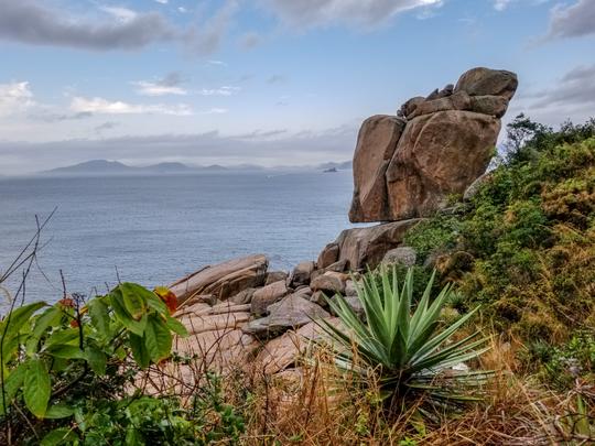 Eco Photography Tour, Hong Kong