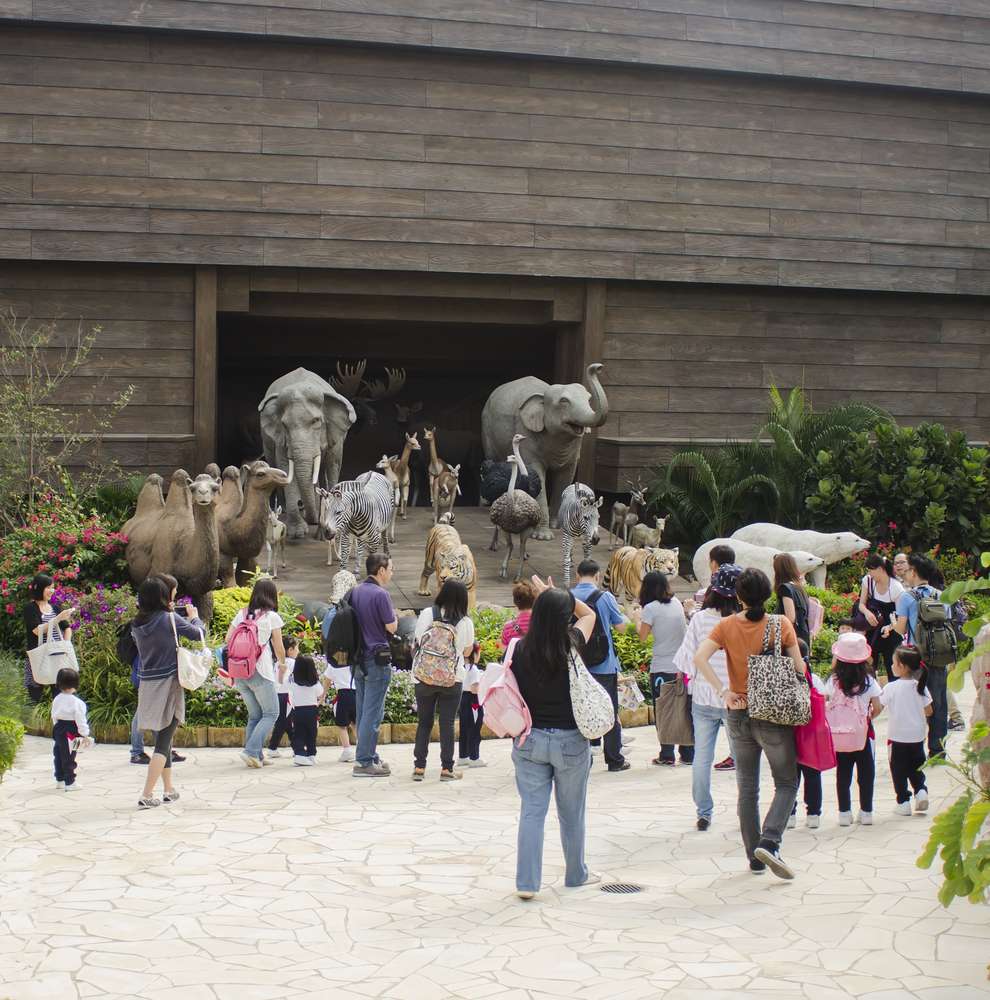 Spend Your Day at Noah's Ark