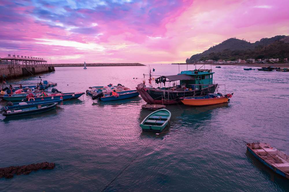 Visit Tai O Fishing Village