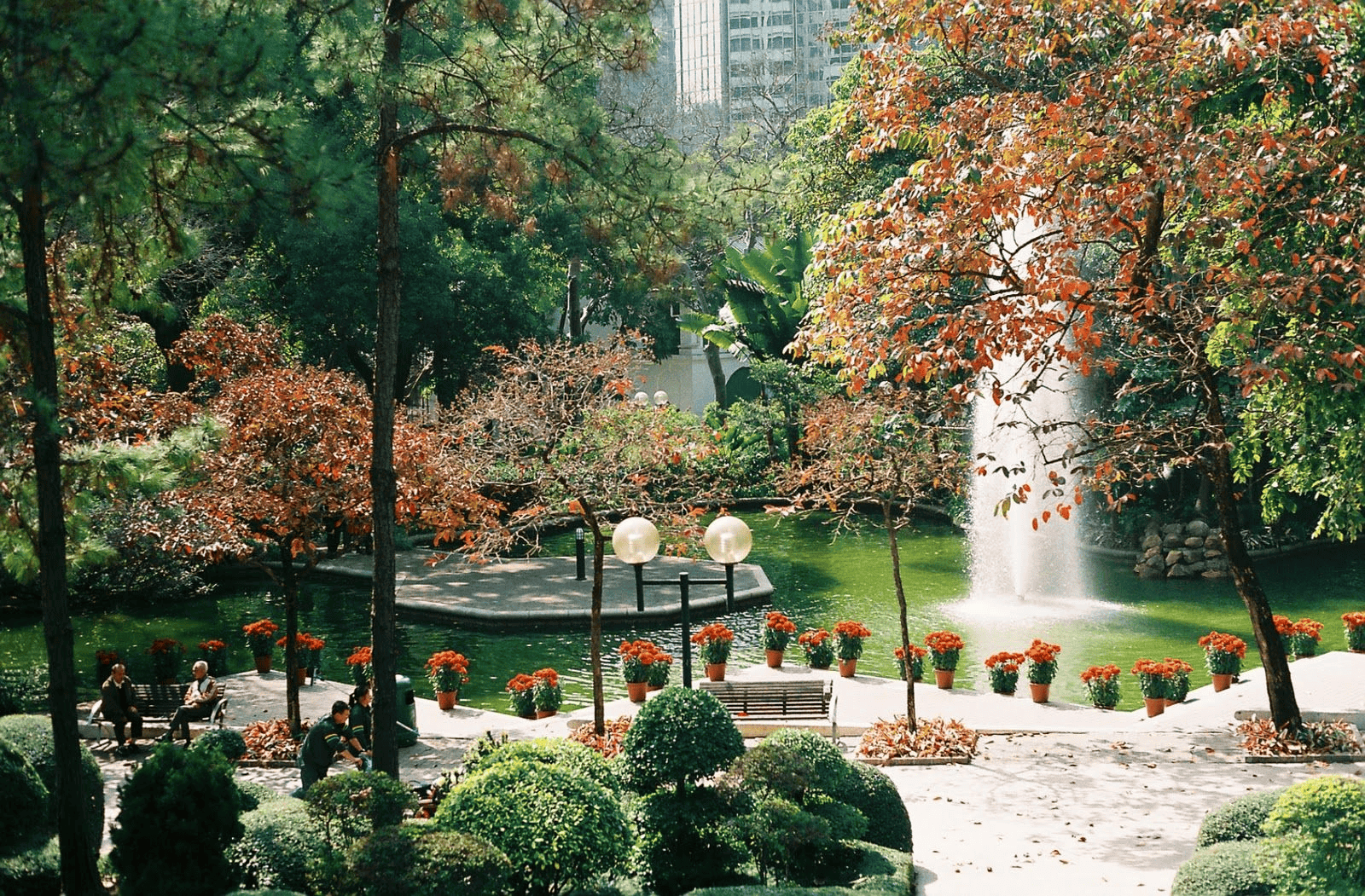 Enjoy the Day at Kowloon Park