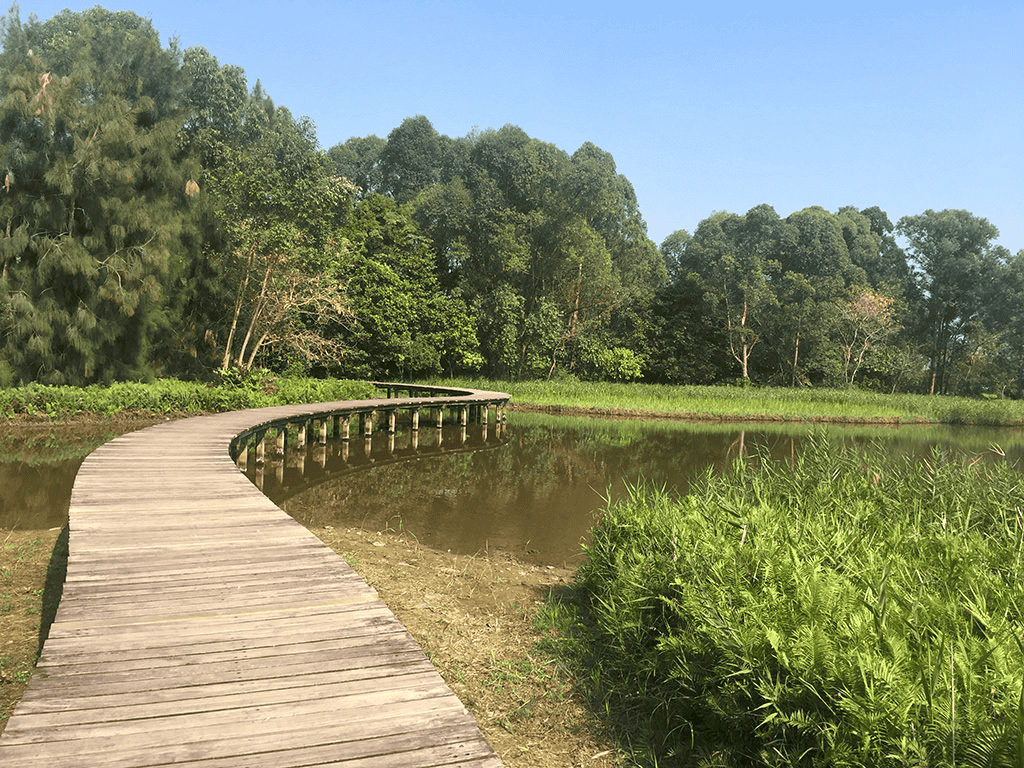 Explore the Wetland Park