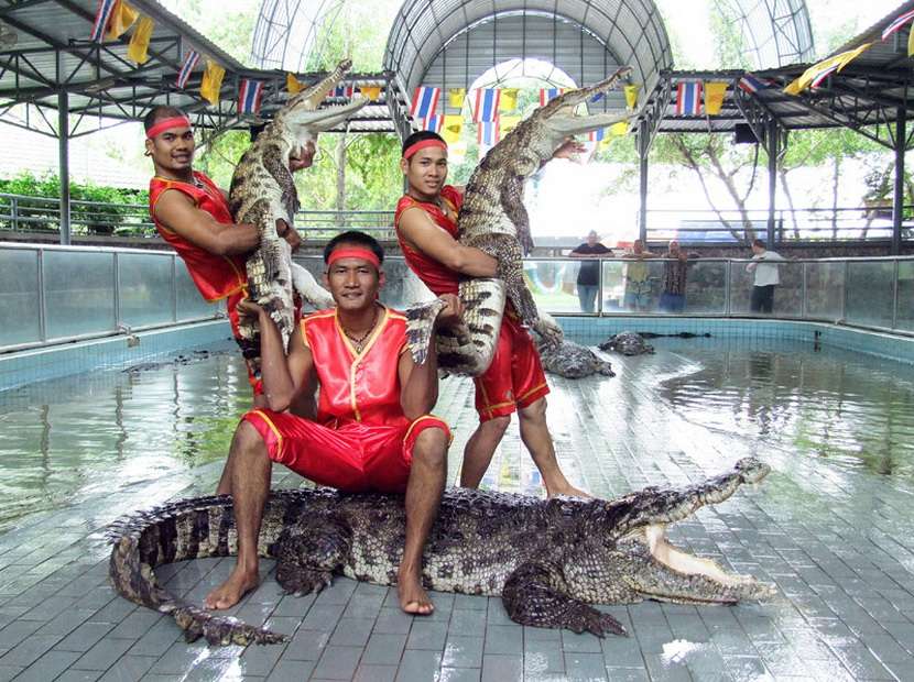 Crocodile Farm And Elephant Show, Bangkok