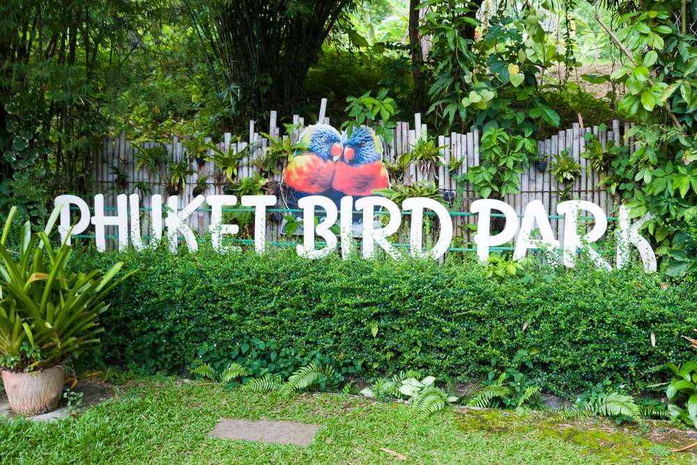 Phuket Bird Park, Phuket 