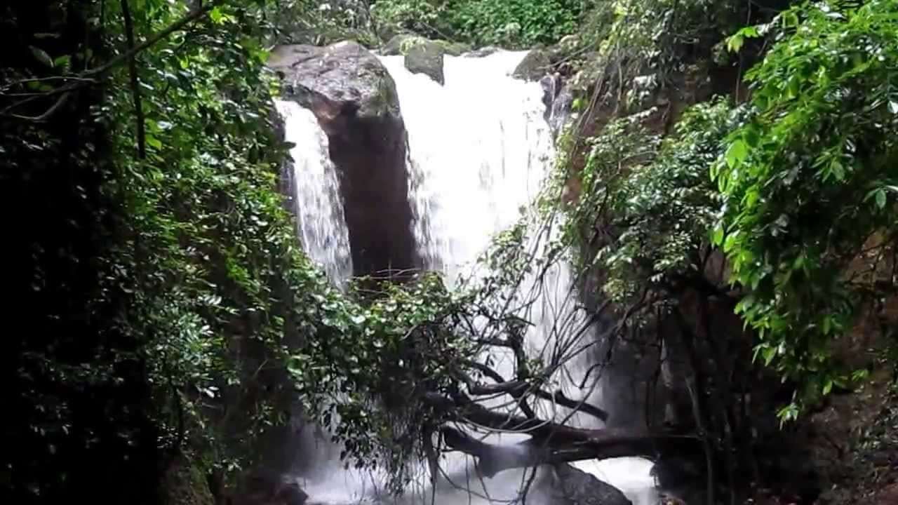Kesarval Spring Verna Waterfall
