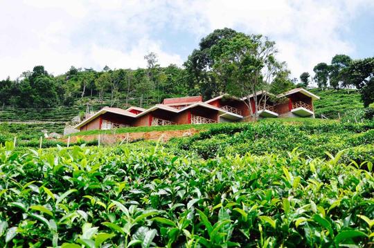 La Niebla Farm Resort