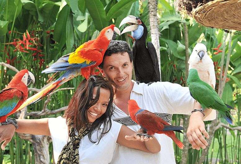 Explore the Bali Bird Park With your Life Partner