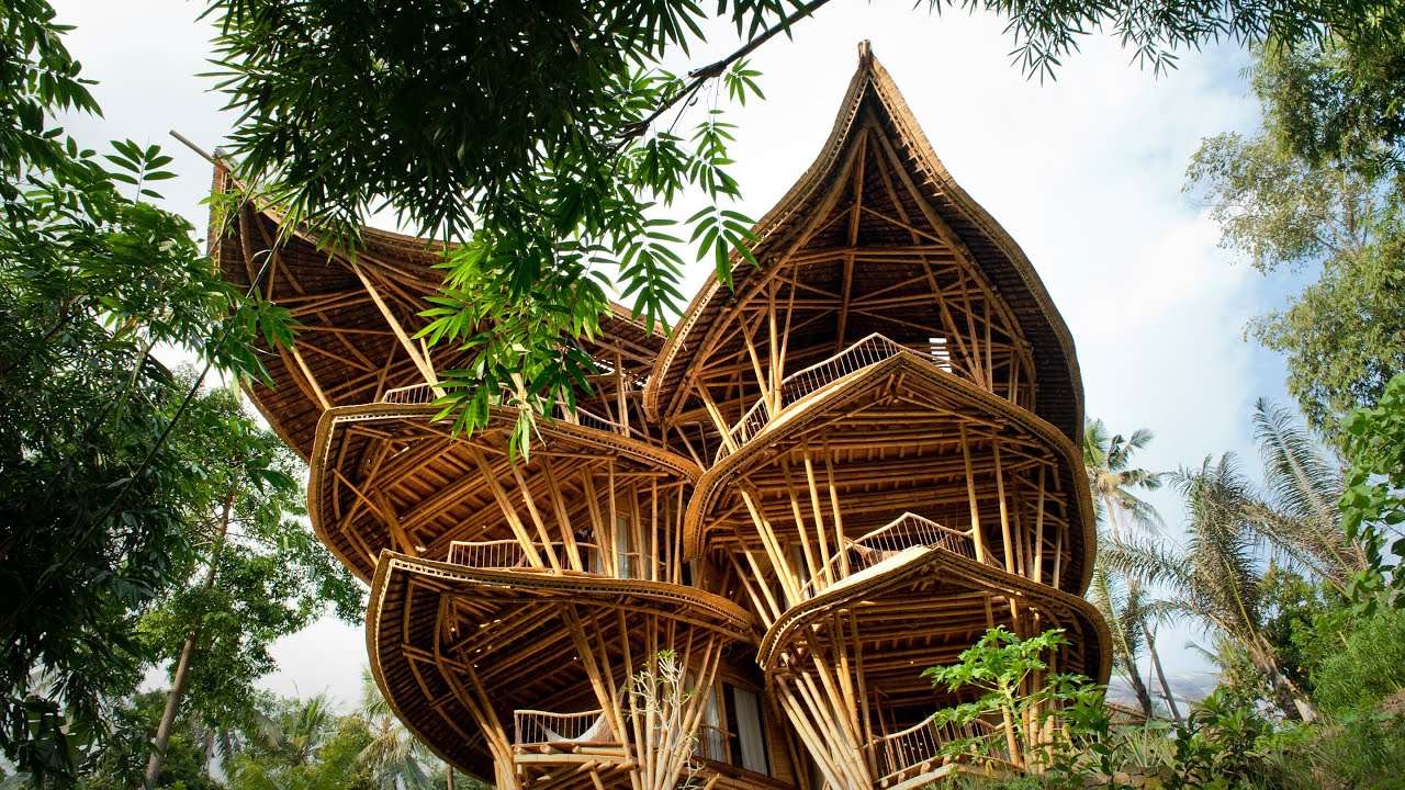 Magical Modern Bamboo Treehouse