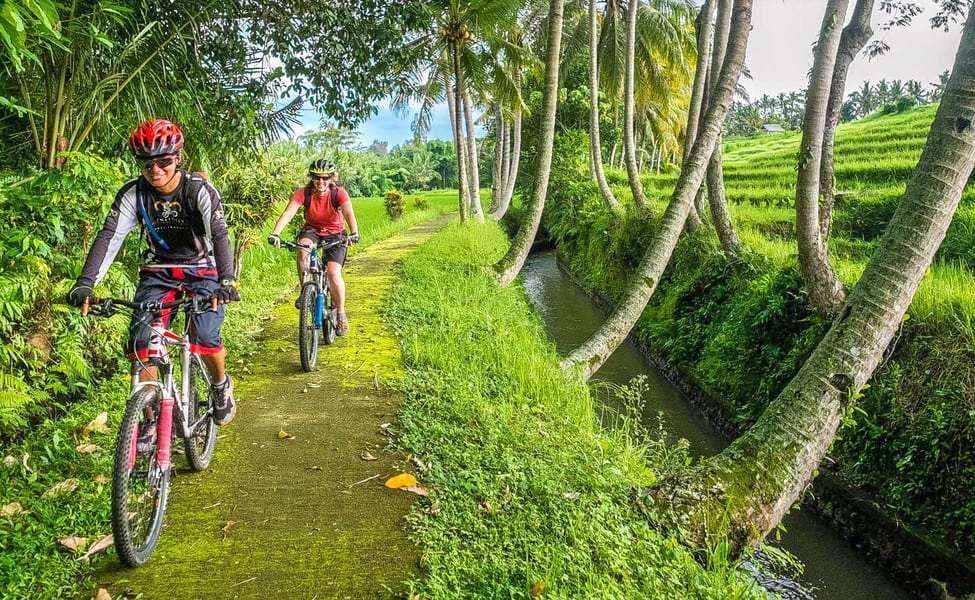 Take a Lovey Dovey Cycling Tour in Countryside Cycling, Ubud