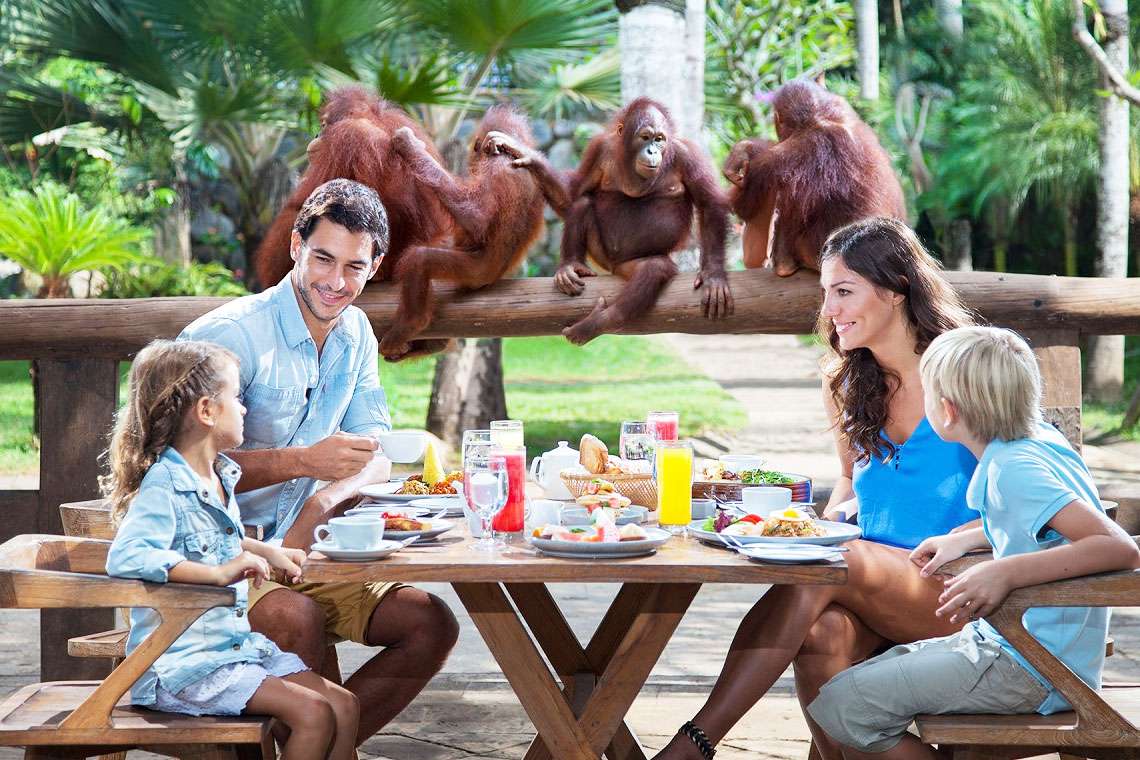 Savor a Romantic Breakfast with Orangutans at Bali Zoo