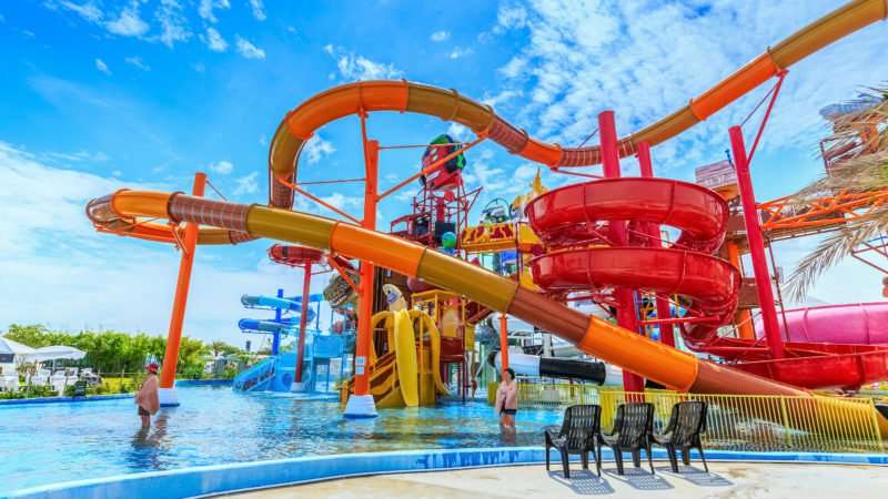 VGP Universal Kingdom