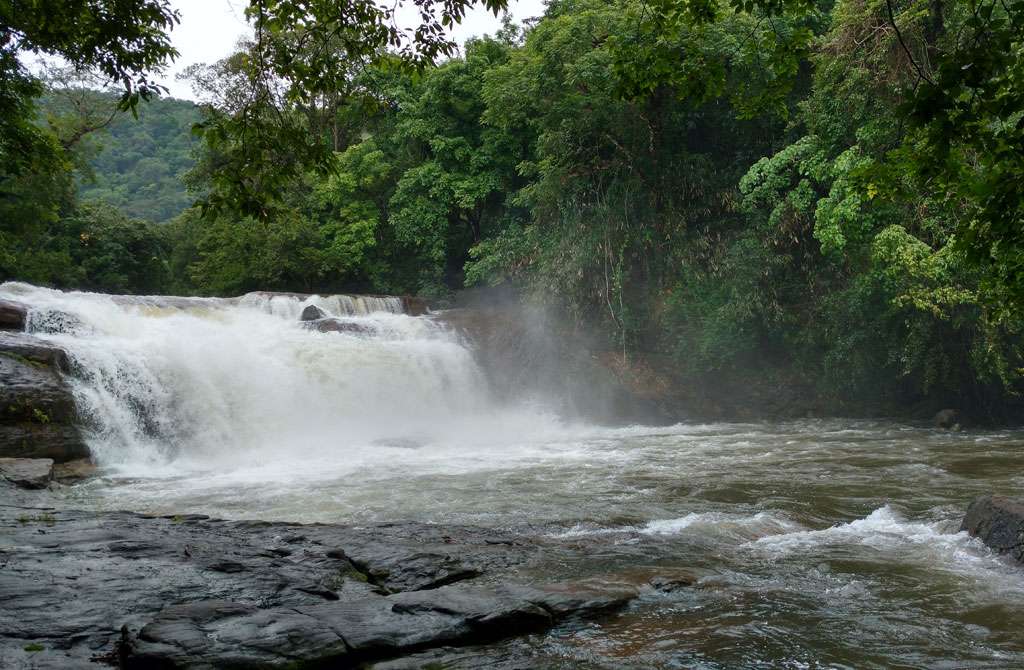 Thommankuthu Falls, Idukki (575 km from Bangalore)